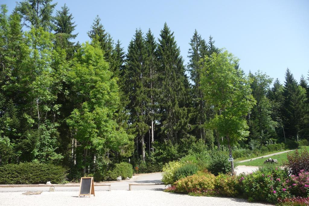 Domaine De La Sapiniere Hotel Thorens-Glieres Luaran gambar